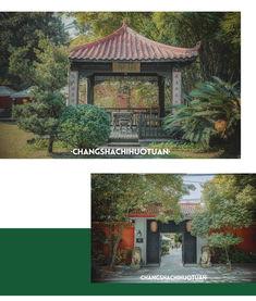 翠园明星,璀璨星光下的青春风采