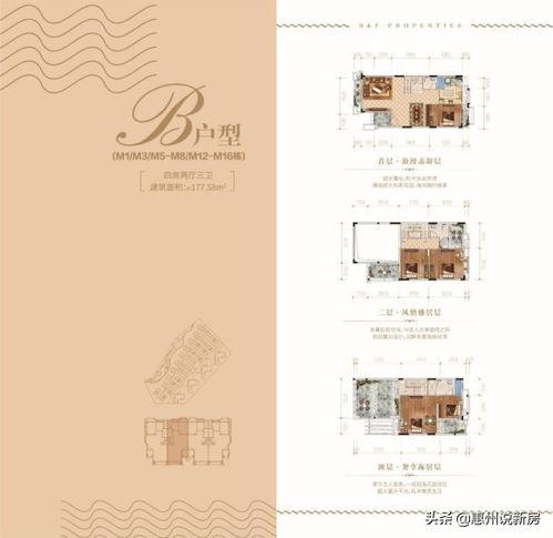 惠州农村今日头条,聚焦乡村振兴，共绘美丽乡村新画卷