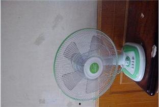 新款网红风扇价格,价格亲民，清凉一夏必备单品