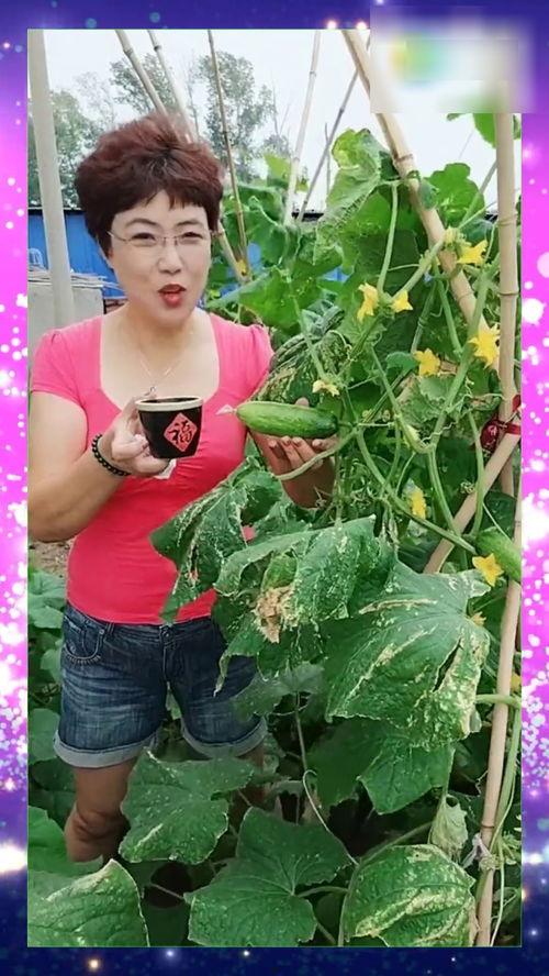 三姐怎么吃瓜,揭秘她独特的吃瓜之道