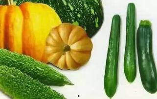 吃瓜的学名叫什么