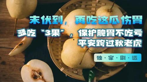 吃瓜会不会伤胃,揭秘吃瓜对胃部健康的潜在影响