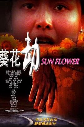 葵花电影网在线观看,畅享在线观影新体验