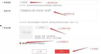 如何注册能赚钱头条号,揭秘头条号注册赚钱攻略