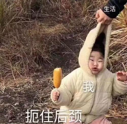 真人吃瓜头像沙雕,揭秘网络搞笑界的“瓜王”风采