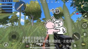 呆瓜的吃鸡,一场欢乐的生存挑战之旅