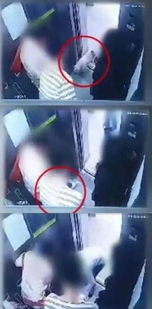 明星咬人视频,揭秘娱乐圈惊悚瞬间