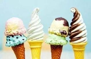 宁夏网红手工冰淇淋厂