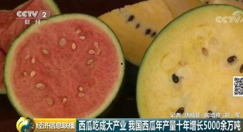 吃瓜群众的国家,揭秘吃瓜群众眼中的全球各国风情