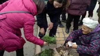 乐东网红卖菜女的,田间地头崛起的电商新秀