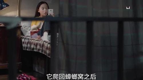 神秘人爆料小六是谁啊视频,小六身份之谜