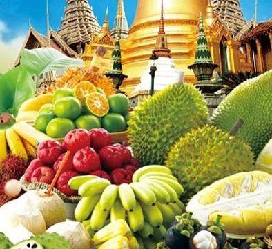 ucsdpdf吃瓜泰国,揭秘神秘国度的瓜田秘闻